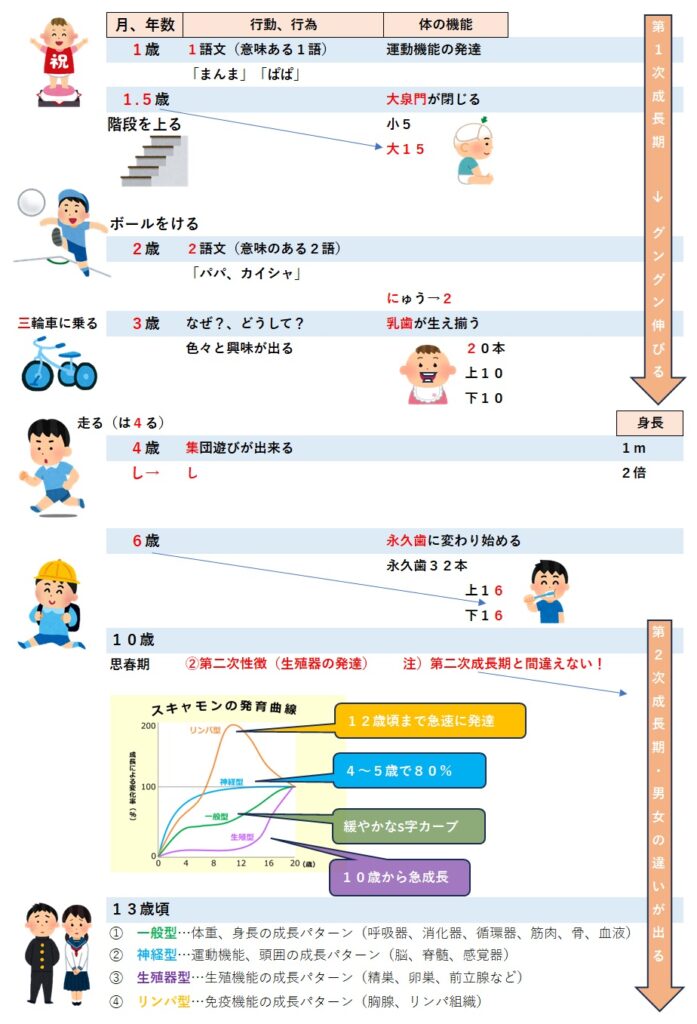 乳幼児の発達過程《まとめ》 | カリスマ社会福祉士3期生のブログ